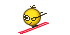 *SKI*